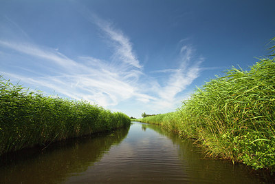 BUITEN BEELD Foto: 142107