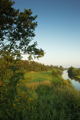 BUITEN BEELD Foto: 142139