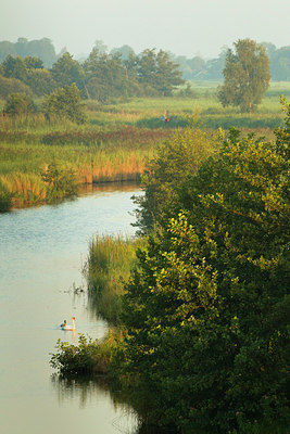 BUITEN BEELD Foto: 142140