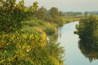 BUITEN BEELD Foto: 142141