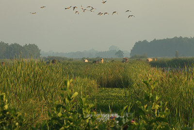 BUITEN BEELD Foto: 142142