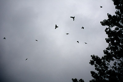 BUITEN BEELD Foto: 142183