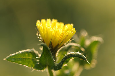 BUITEN BEELD Foto: 142322