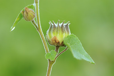 BUITEN BEELD Foto: 142326
