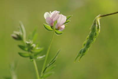 BUITEN BEELD Foto: 142328