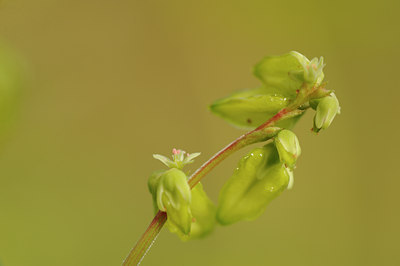 BUITEN BEELD Foto: 142331