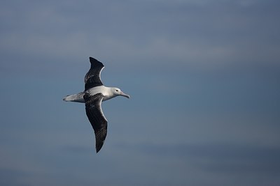 BUITEN BEELD Foto: 142440