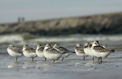 BUITEN BEELD Foto: 142491