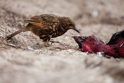 BUITEN BEELD Foto: 142519
