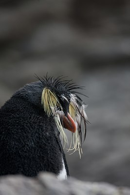 BUITEN BEELD Foto: 142529