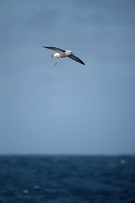 BUITEN BEELD Foto: 142537