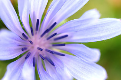 BUITEN BEELD Foto: 142617