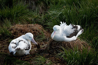 BUITEN BEELD Foto: 142651