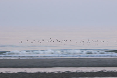 BUITEN BEELD Foto: 142671