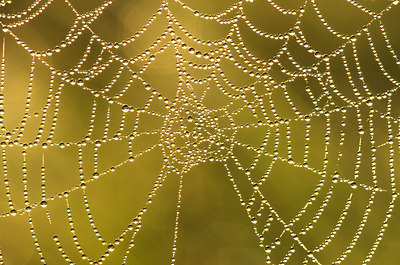 BUITEN BEELD Foto: 142679