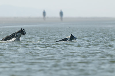 BUITEN BEELD Foto: 142690