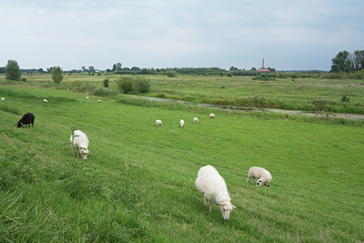 BUITEN BEELD Foto: 142726