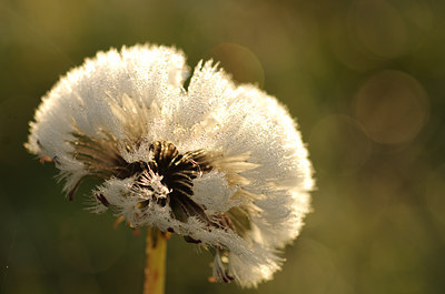 BUITEN BEELD Foto: 142748