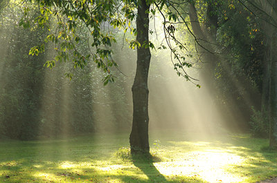 BUITEN BEELD Foto: 142751
