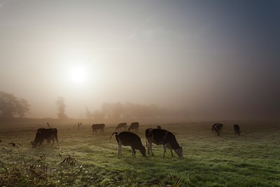 BUITEN BEELD Foto: 142778