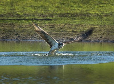 BUITEN BEELD Foto: 142826
