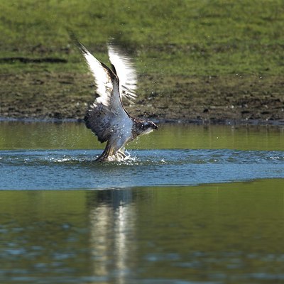 BUITEN BEELD Foto: 142827