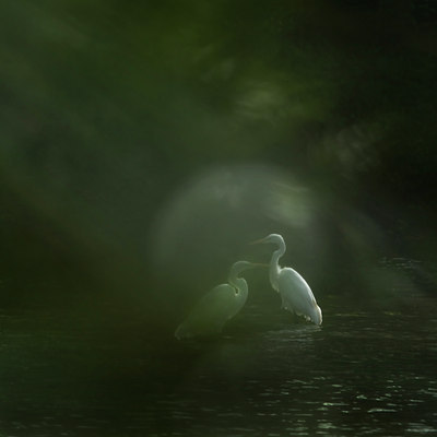 BUITEN BEELD Foto: 142834