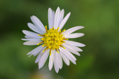 BUITEN BEELD Foto: 142836