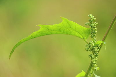 BUITEN BEELD Foto: 142842