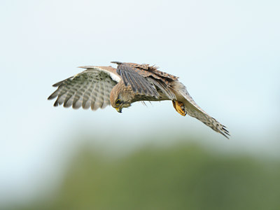 BUITEN BEELD Foto: 142854