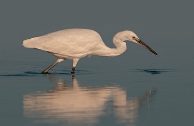 BUITEN BEELD Foto: 142869