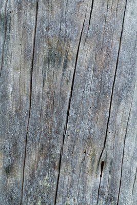 BUITEN BEELD Foto: 142891