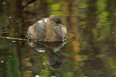 BUITEN BEELD Foto: 142897