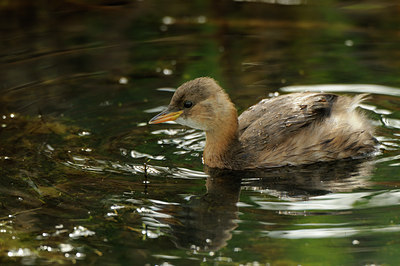 BUITEN BEELD Foto: 142900