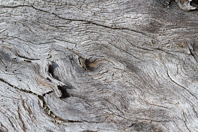 BUITEN BEELD Foto: 142905