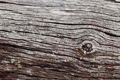 BUITEN BEELD Foto: 142908