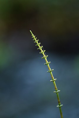 BUITEN BEELD Foto: 142938