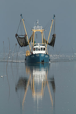 BUITEN BEELD Foto: 142950