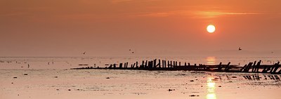 BUITEN BEELD Foto: 142995