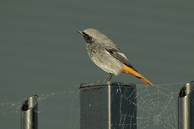 BUITEN BEELD Foto: 143002