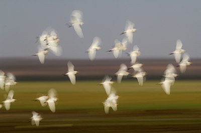 BUITEN BEELD Foto: 143007