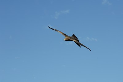 BUITEN BEELD Foto: 143033