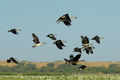 BUITEN BEELD Foto: 143035