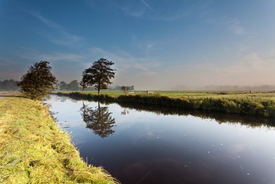 BUITEN BEELD Foto: 143086