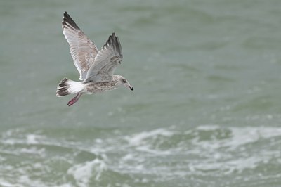 BUITEN BEELD Foto: 143103
