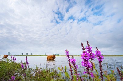 BUITEN BEELD Foto: 143112