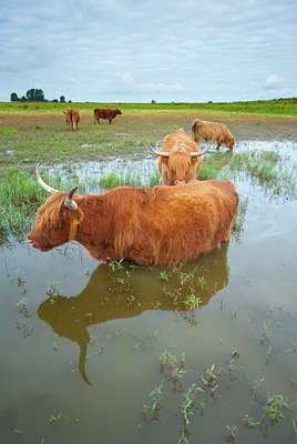 BUITEN BEELD Foto: 143114