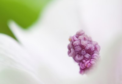 BUITEN BEELD Foto: 143124