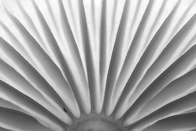 BUITEN BEELD Foto: 143136