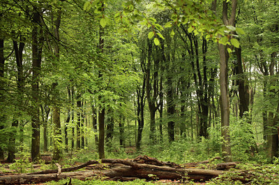 BUITEN BEELD Foto: 143157